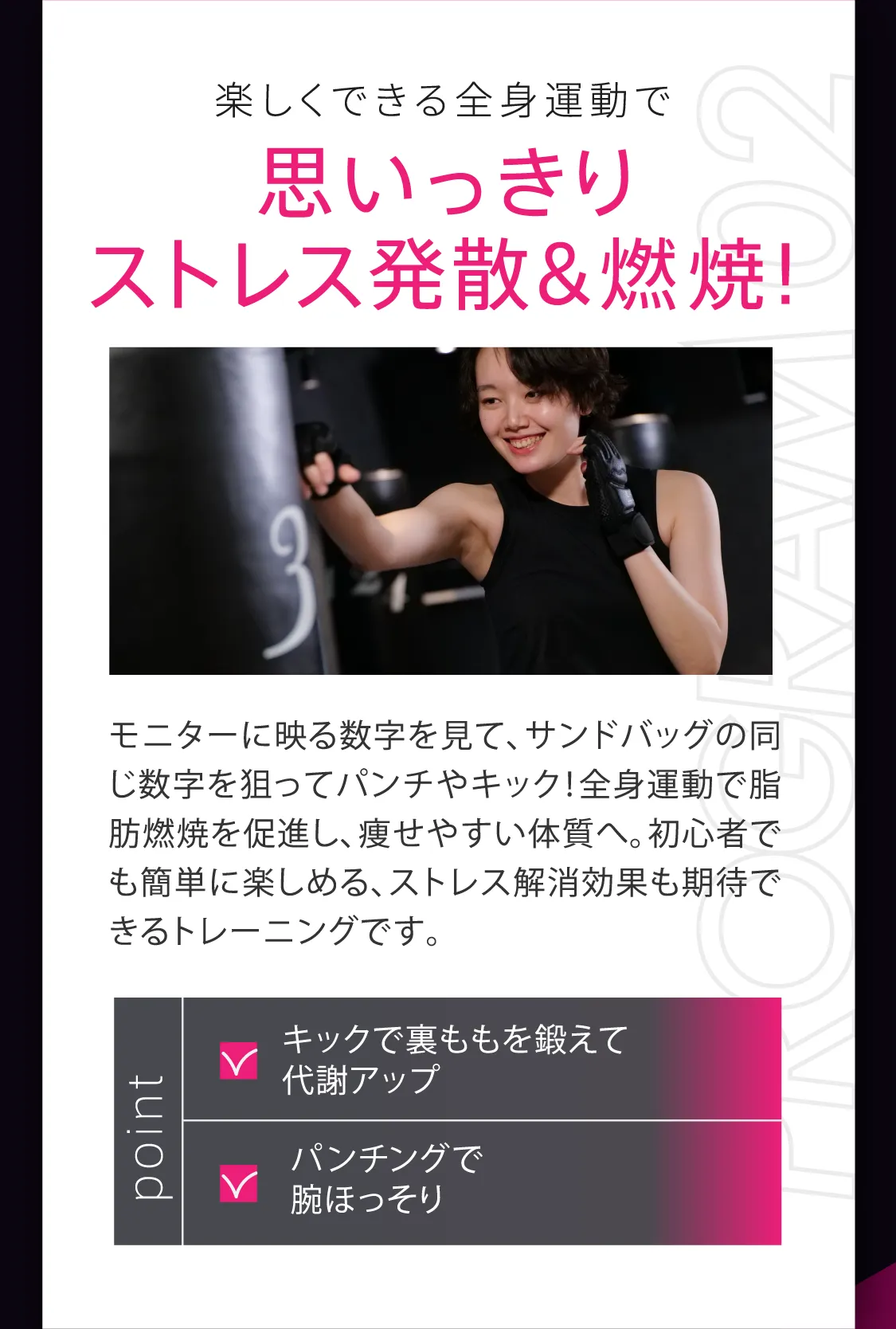 楽しくできる全身運動で 思いっきりストレス発散&燃焼!