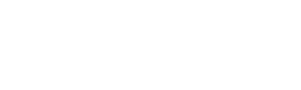 FIVE ELEMENT FIT