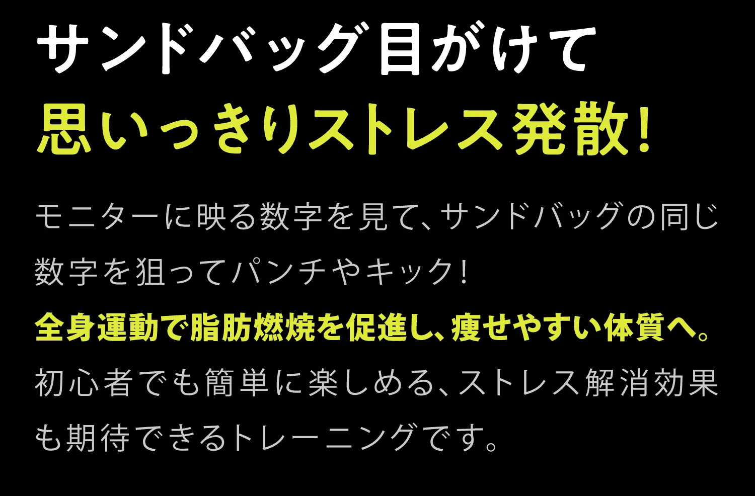 サンドバッグ目がけて思いっきりストレス発散!モニターに映る数字を見て、サンドバッグの同 じ数字を狙ってパンチやキック! 全身運動で脂 肪燃焼を促進し、痩せやすい体質へ。 初心者で も簡単に楽しめる、ストレス解消効果も期待で きるトレーニングです。